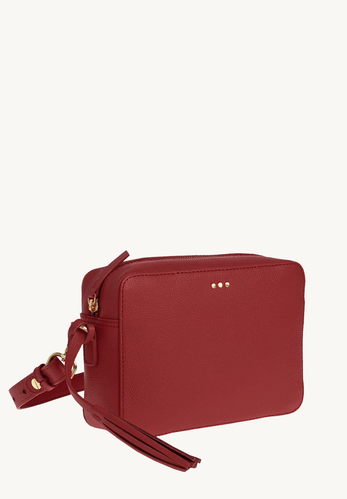 CAMERA - Grained leather shoulder bag