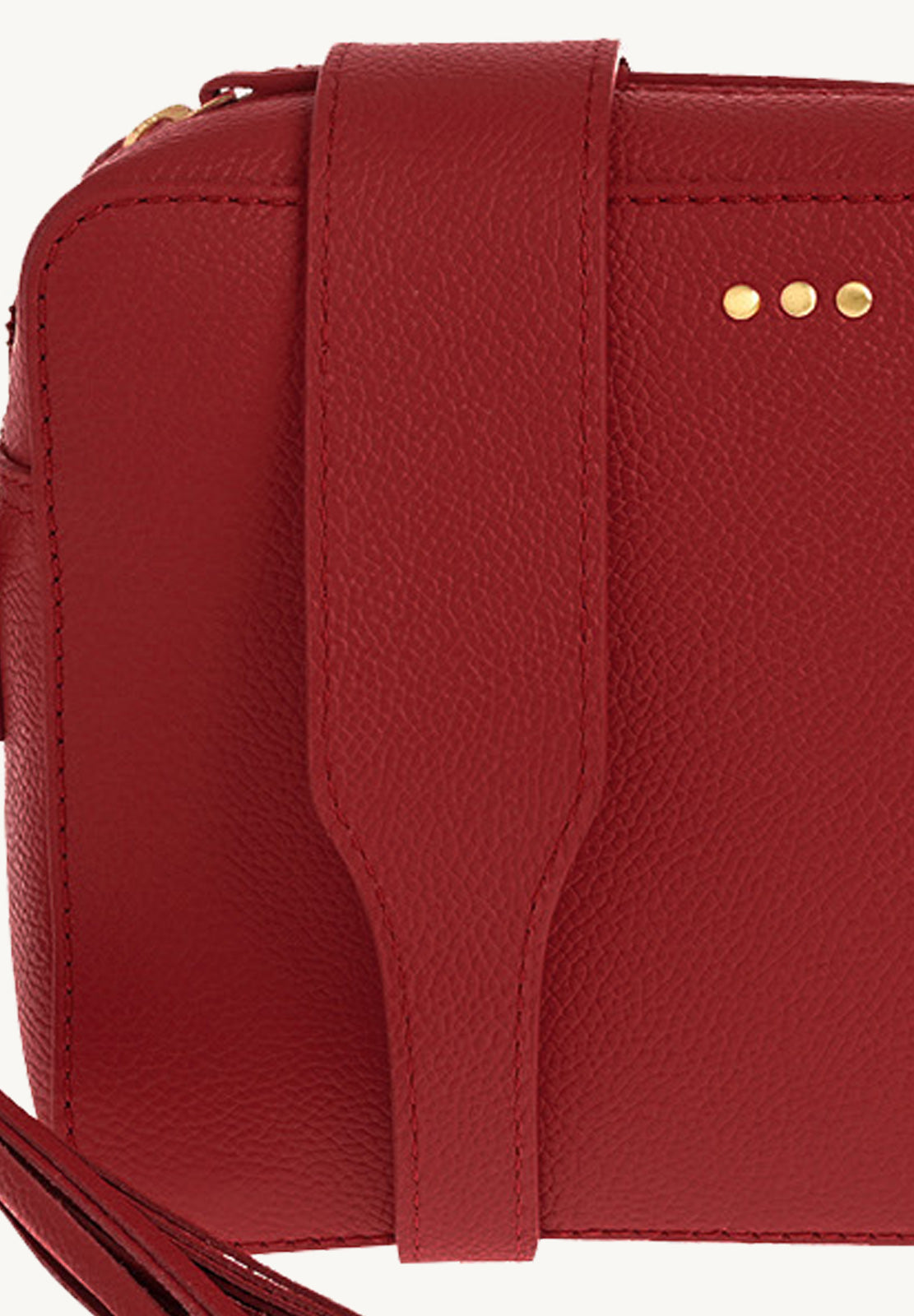 CAMERA - Grained leather shoulder bag