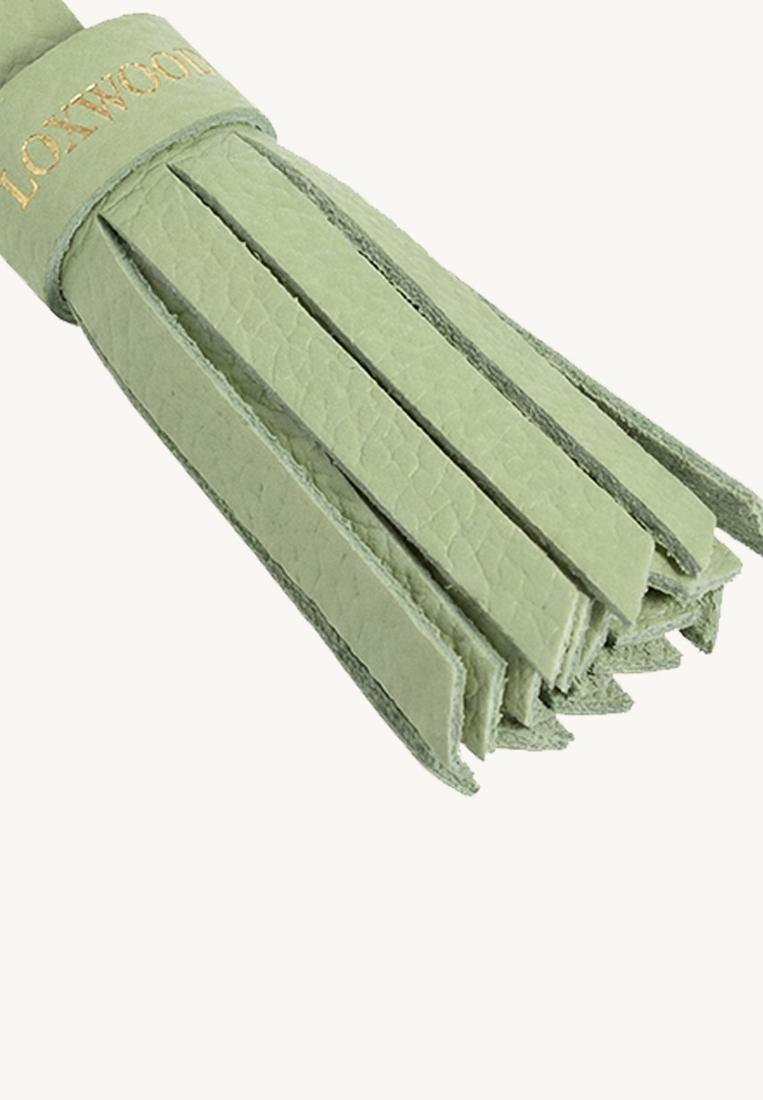 Pompon Small Pistachio Keychain