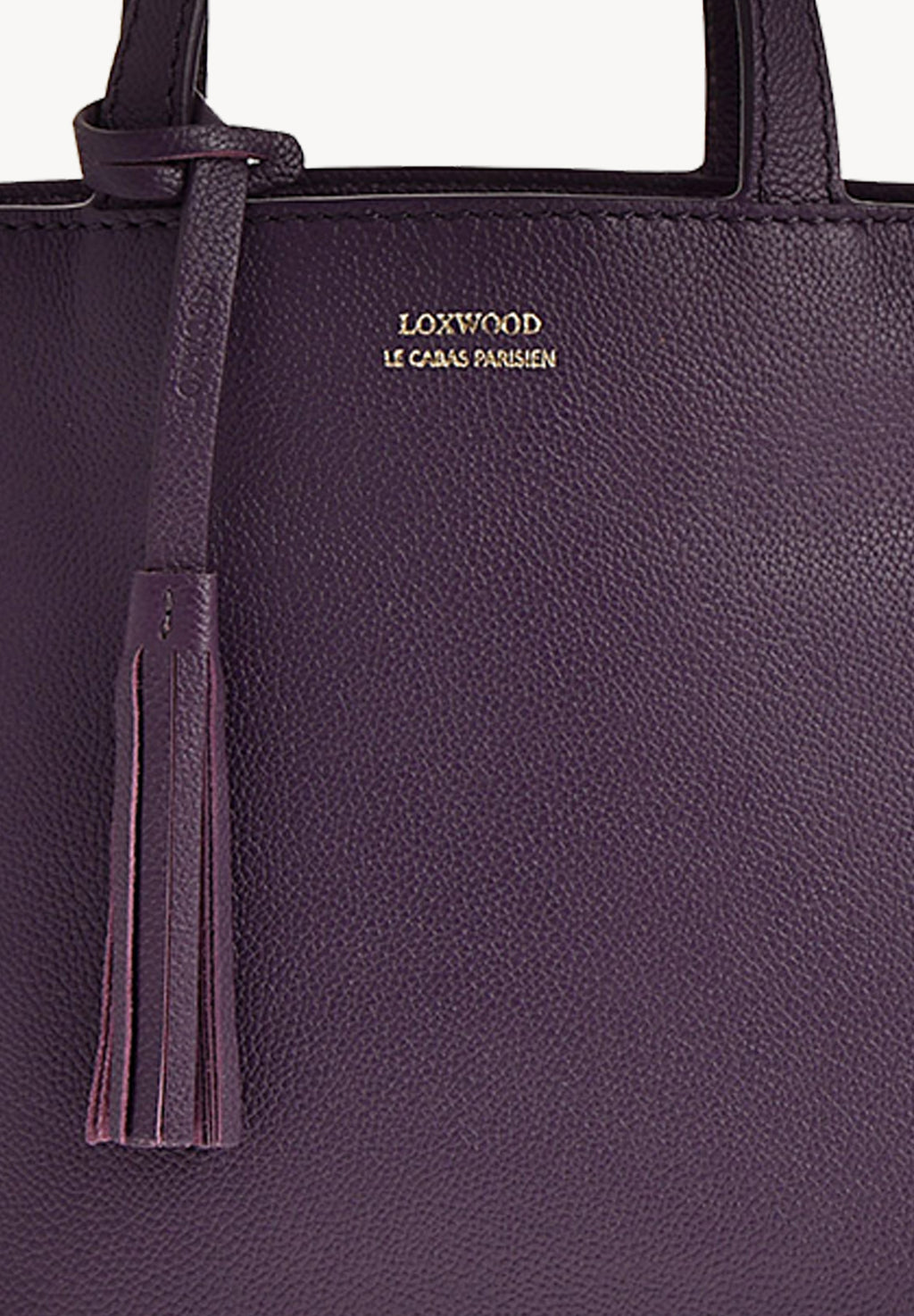 Small PARISIEN tote bag - Grained leather